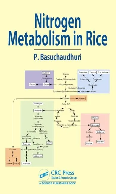 Nitrogen Metabolism in Rice | Hardcover