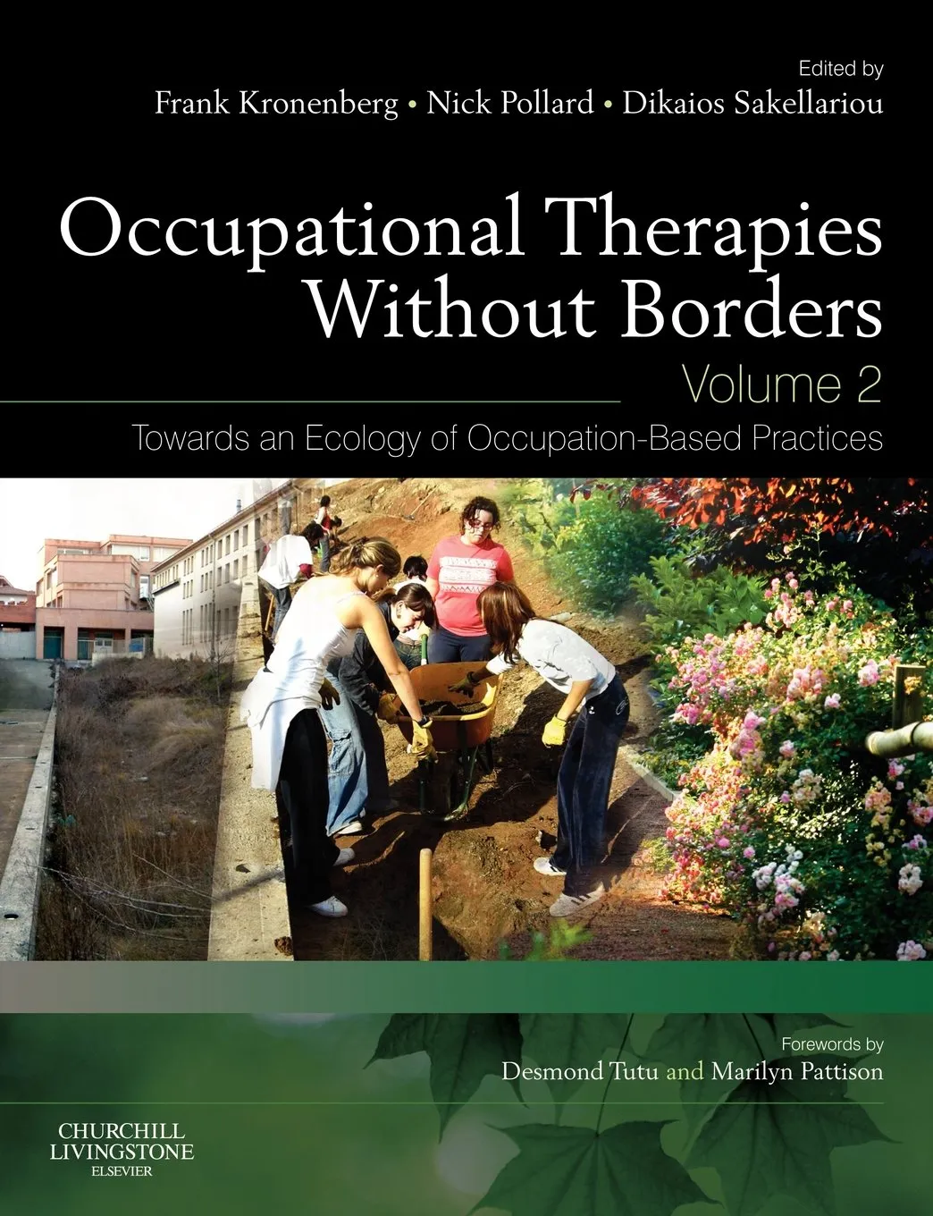 Occupational Therapies Without Borders | Volume 2 | Paperback