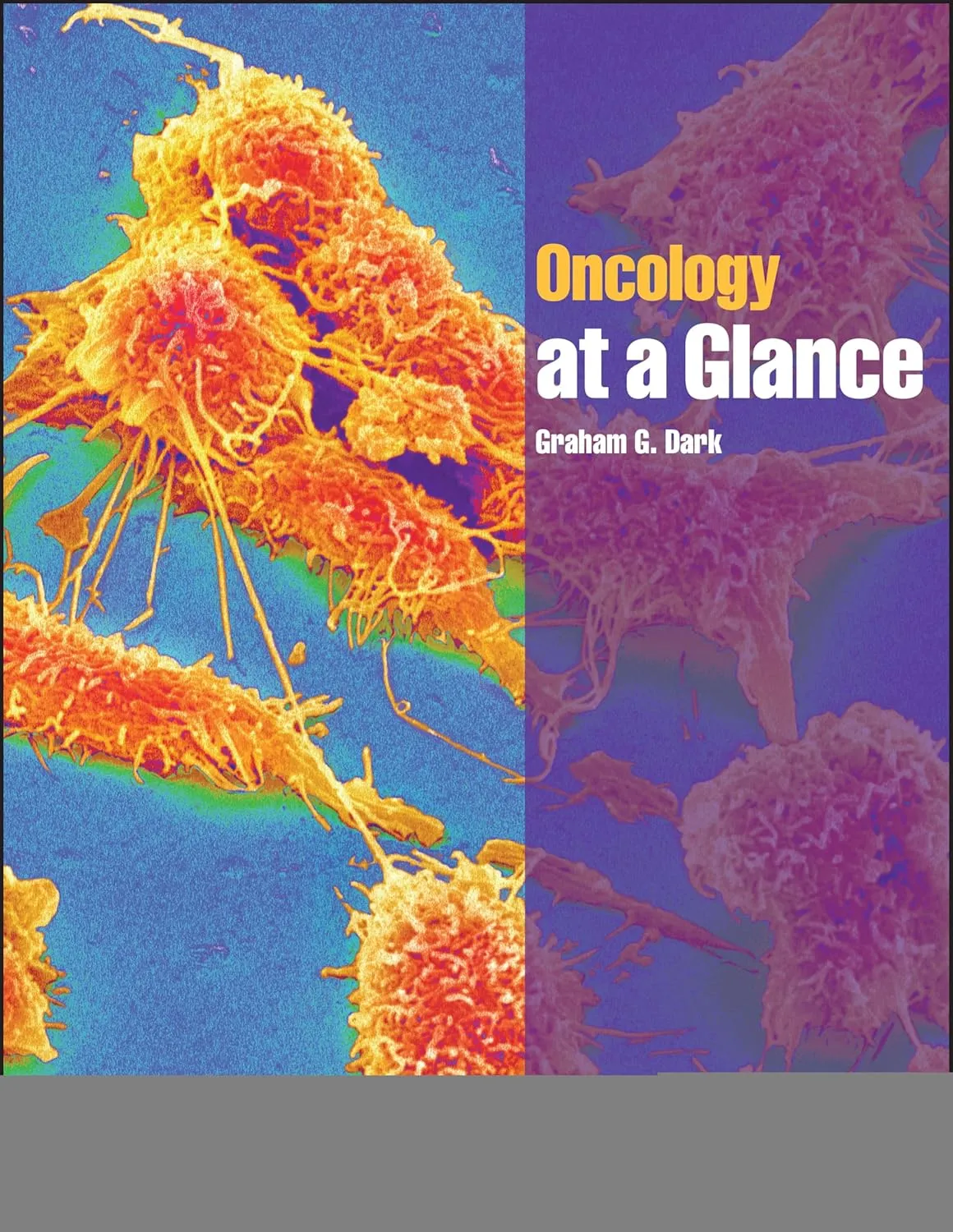 Oncology at a Glance | Paperback