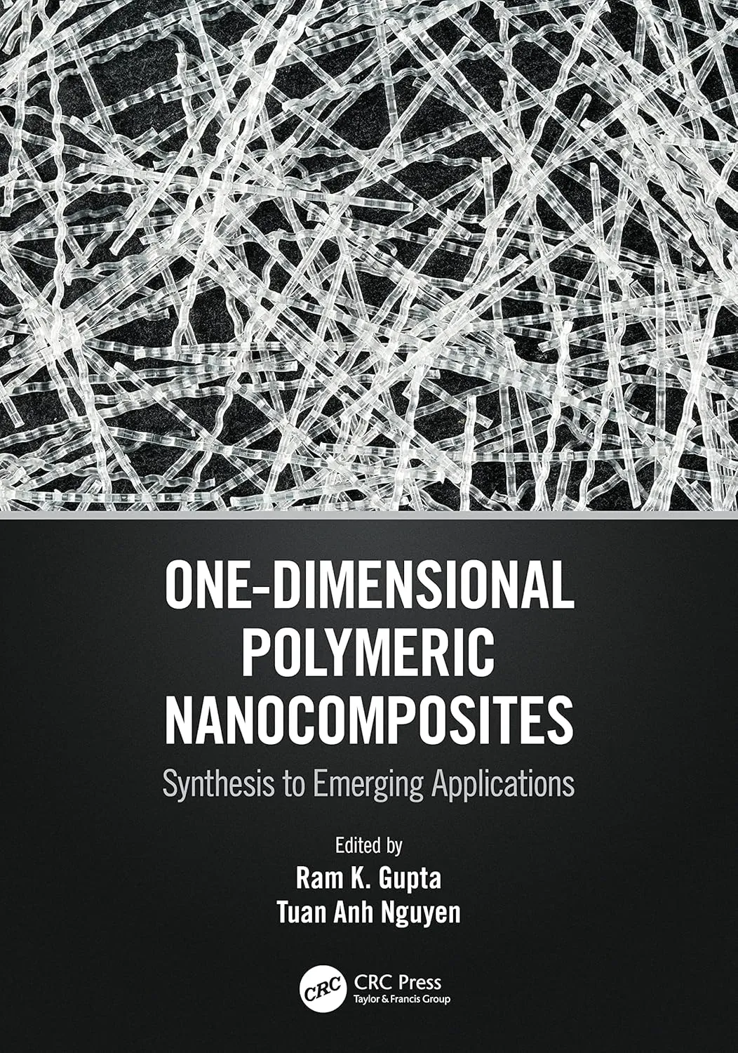 One Dimensional Polymeric Nanocomposites | Hardcover