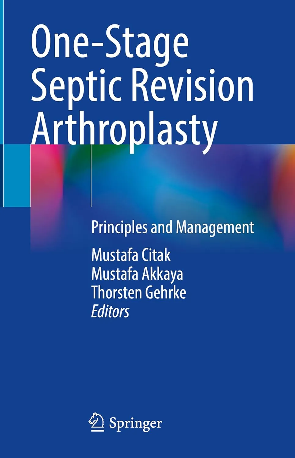 One Stage Septic Revision Arthroplasty Principles And Management | Hardcover