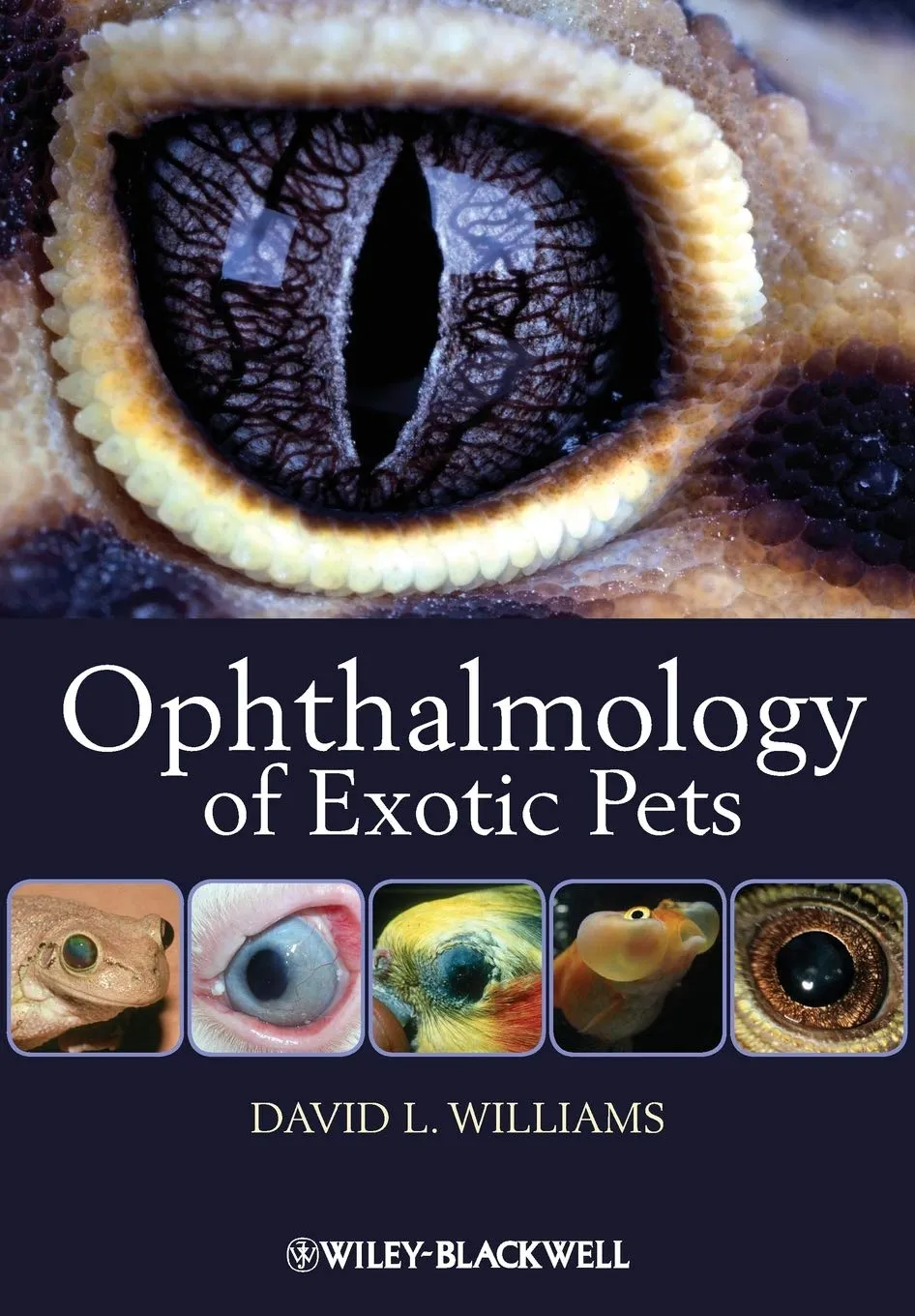 Ophthalmology of Exotic Pets | Paperback