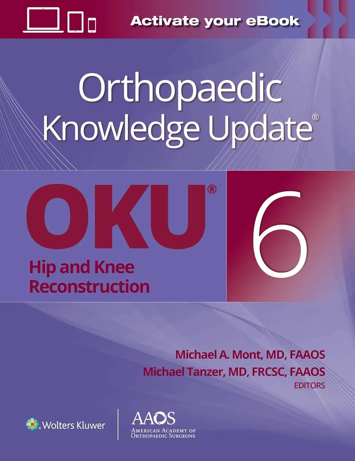 Orthopaedic Knowledge Update Oku Hip and Knee Reconstruction | 6th Edition | Paperback