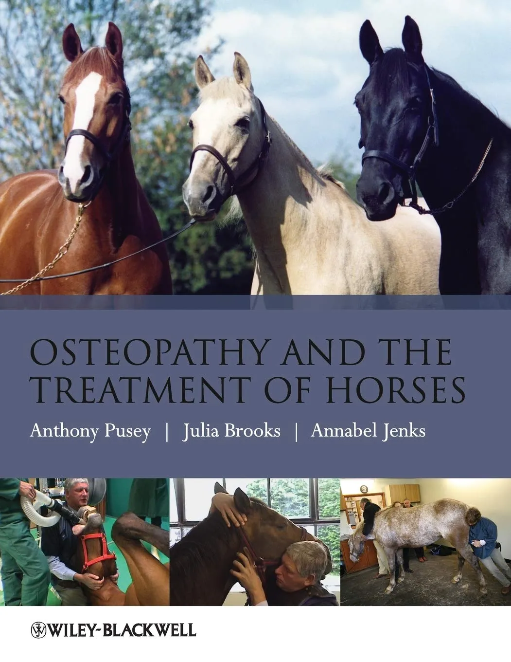 Osteopathy and the Treatment of Horses | Paperback
