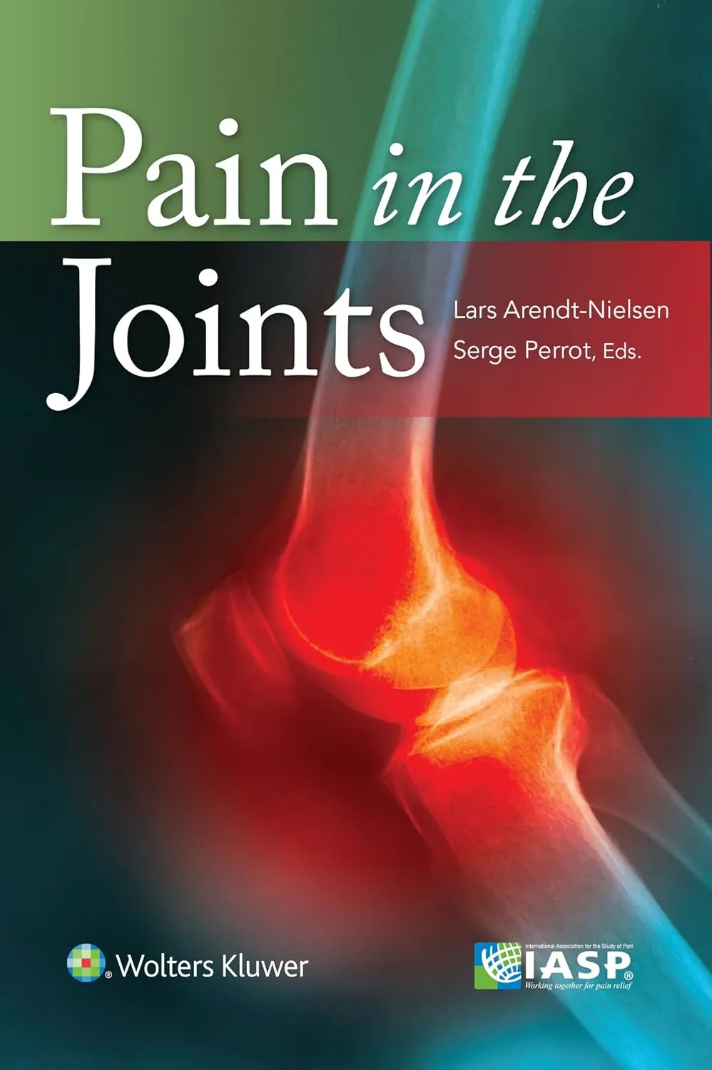Pain in the Joints | Paperback