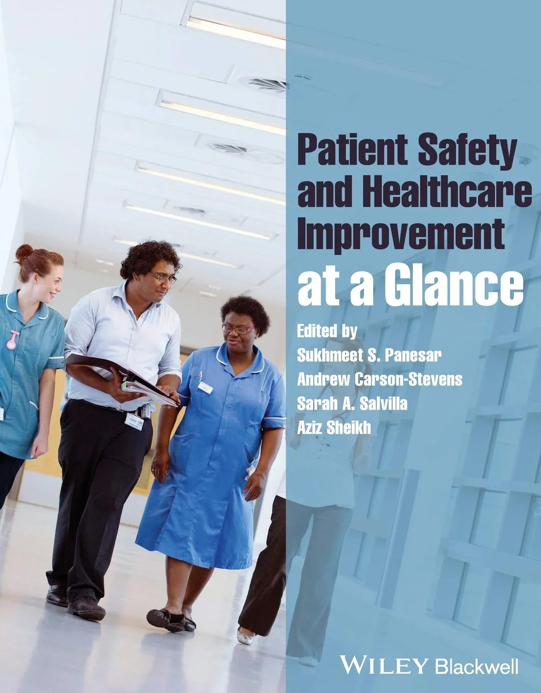 Patient Safety and Healthcare Improvement at a Glance | Paperback