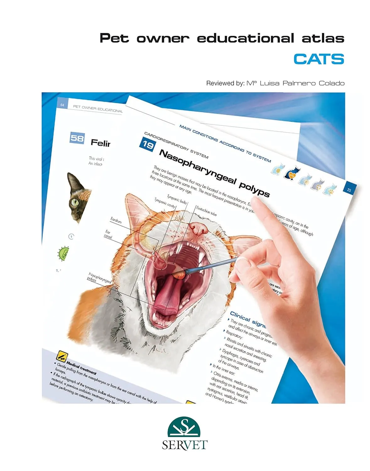 Pet Owner Educational Atlas Cats | Hardcover