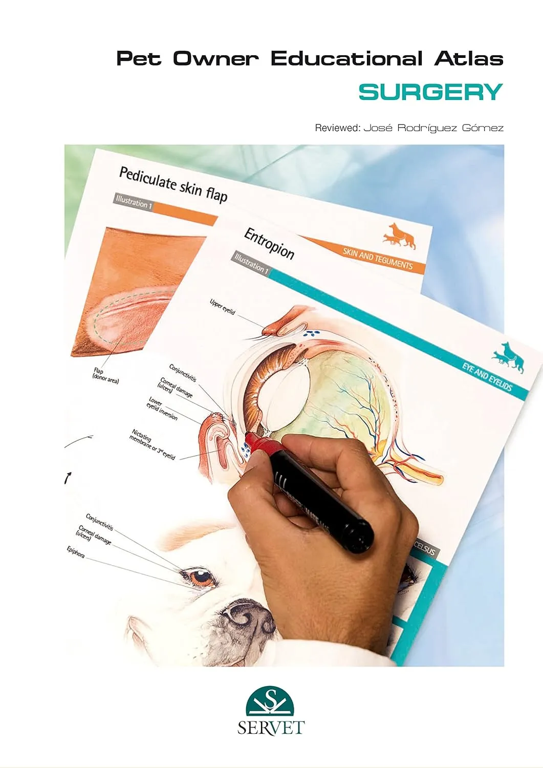 Pet Owner Educational Atlas SURGERY | Hardcover