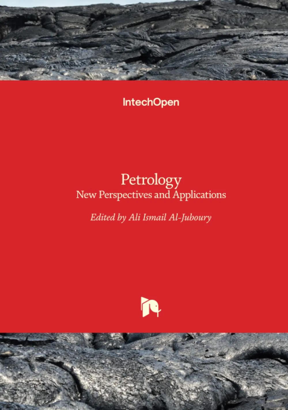 Petrology New Perspectives and Applications | Hardcover