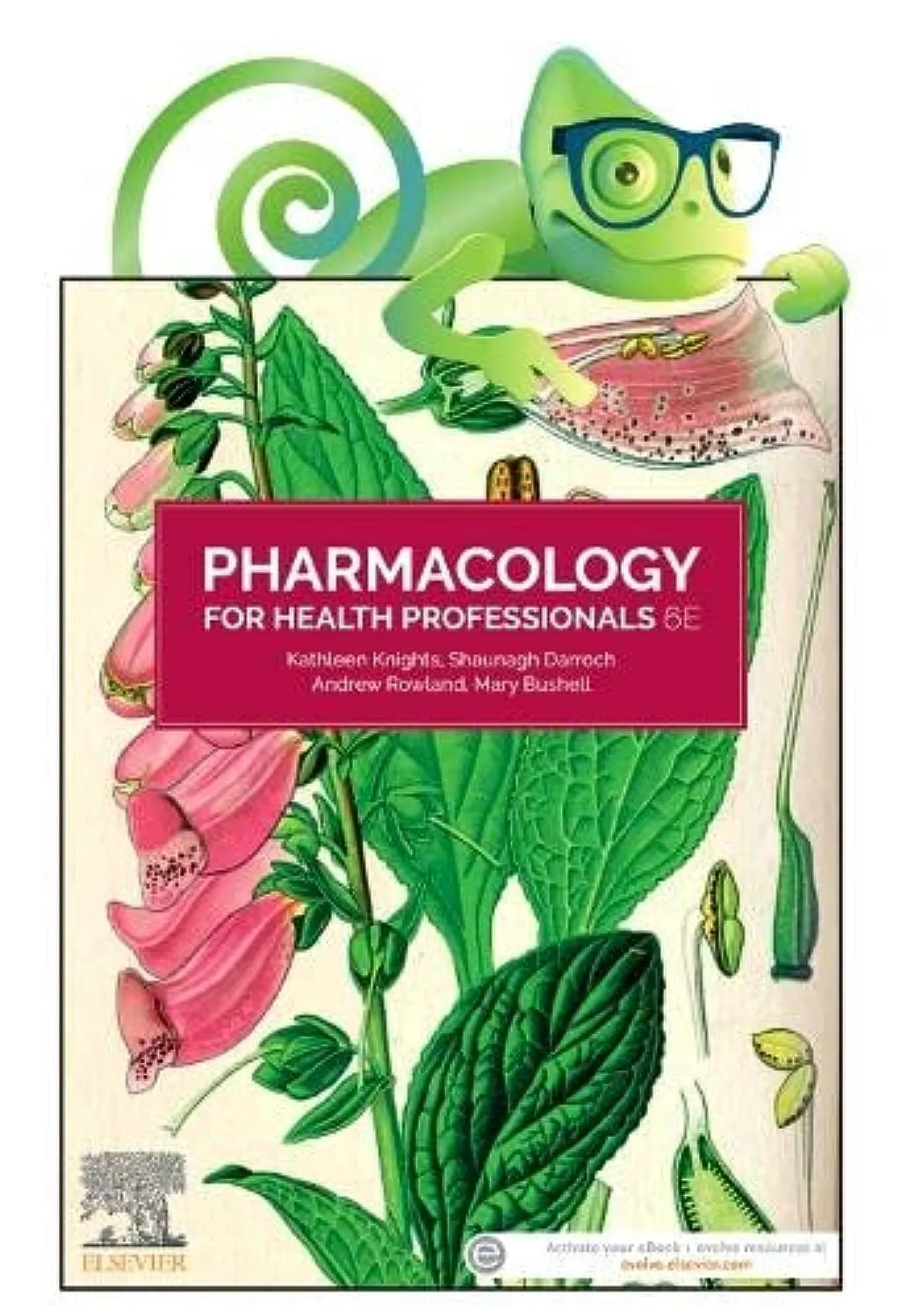 Pharmacology For Health Professionals With Access Code | 6th Edition | Paperback