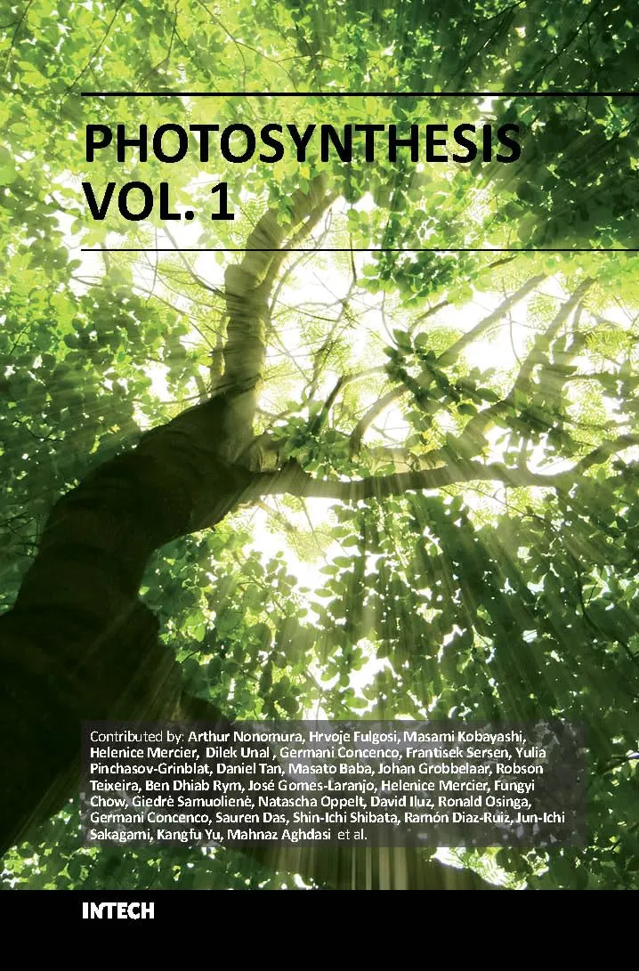 Photosynthesis Vol 1 | Hardcover