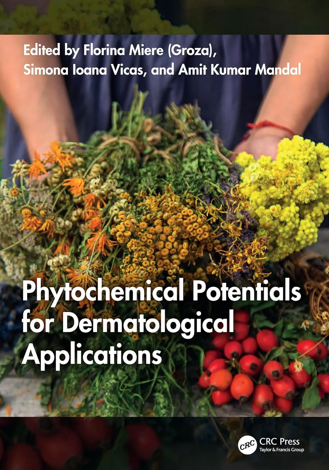 Phytochemical Potentials For Dermatological Applications | Hardcover