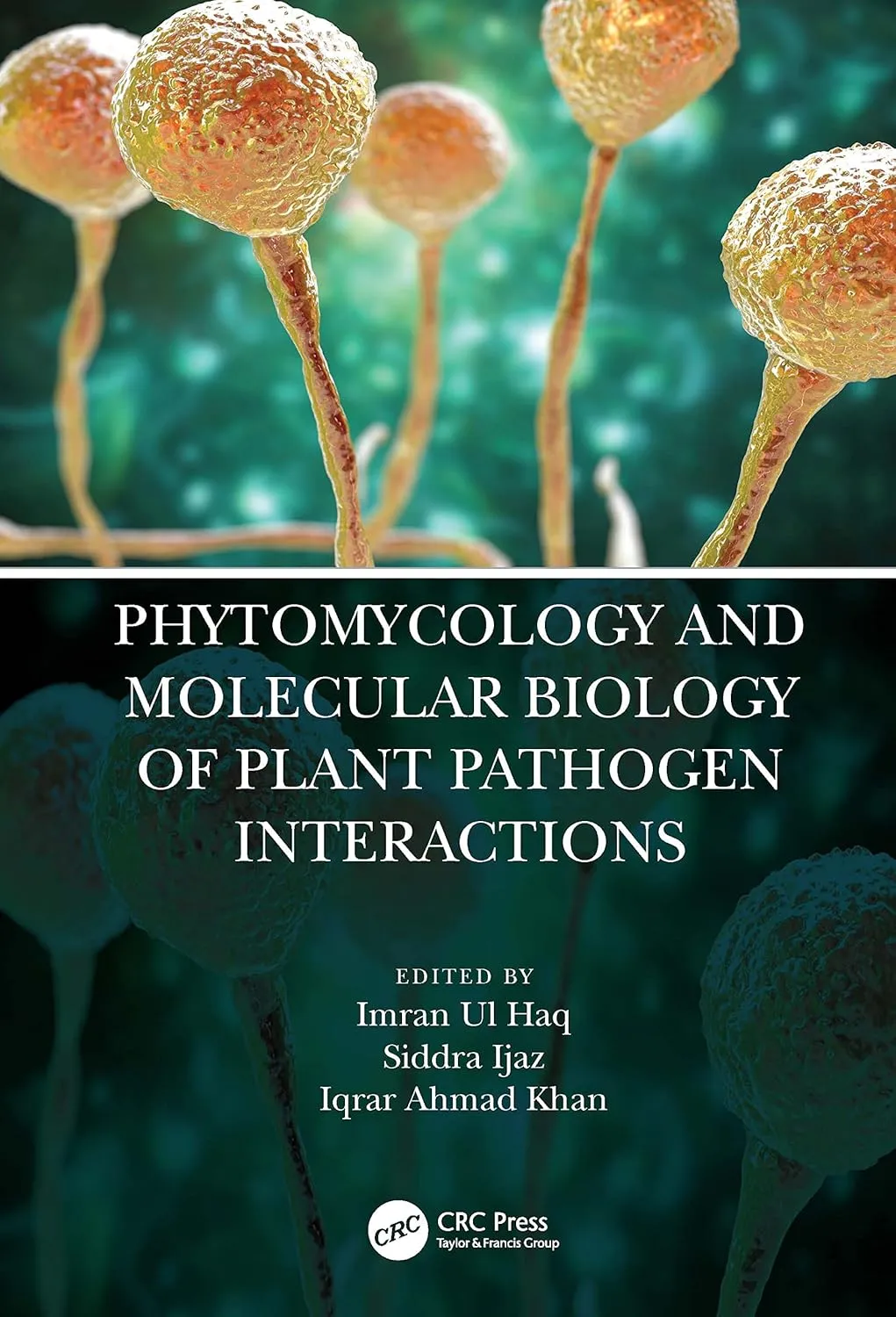Phytomycology And Molecular Biology Of Plant Pathogen Interactions | Paperback