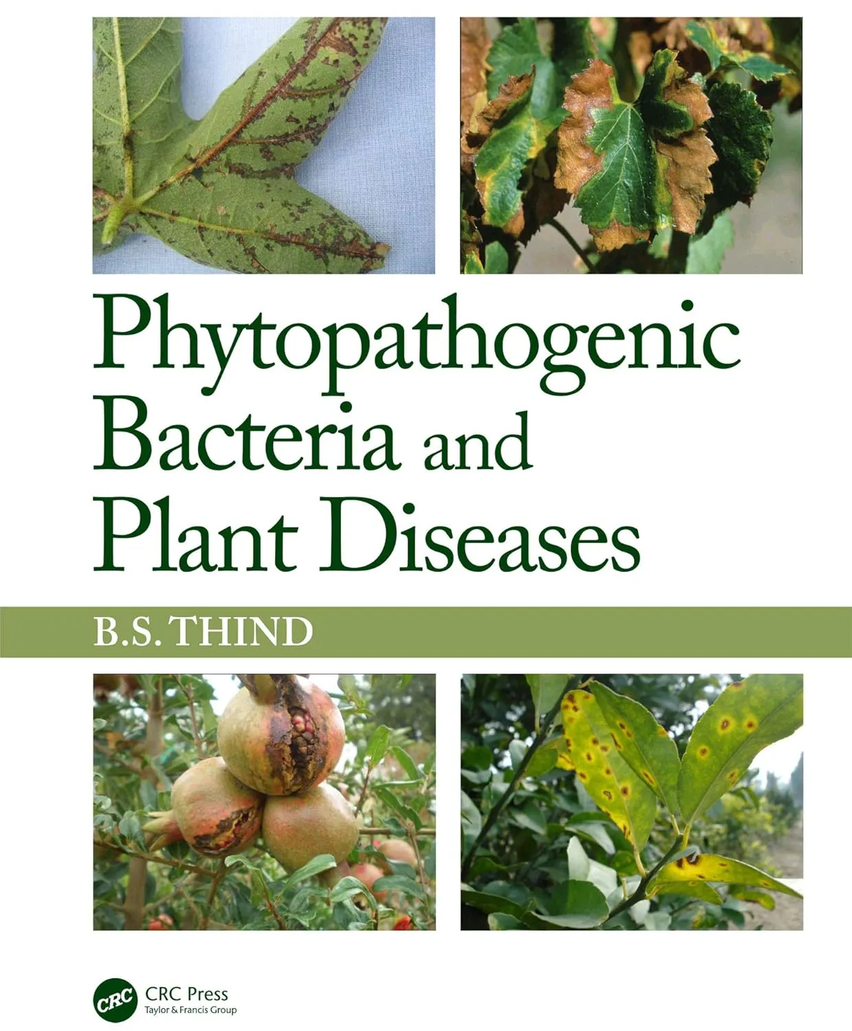Phytopathogenic Bacteria and Plant Diseases | Hardcover