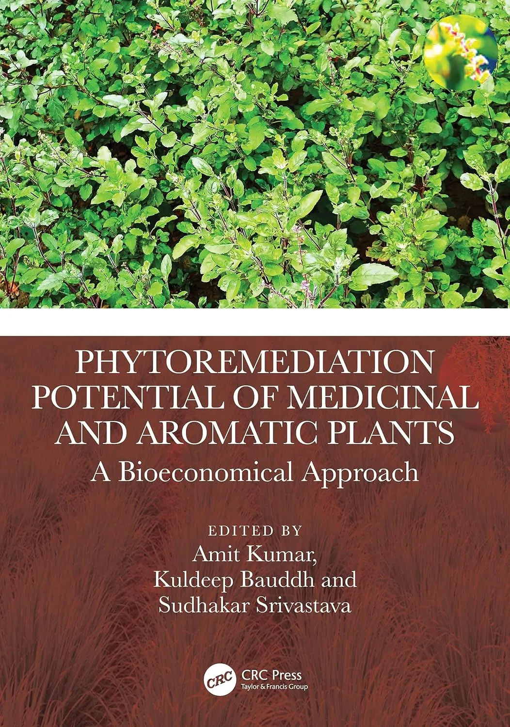 Phytoremediation Potential Of Medicinal And Aromatic Plants A Bioeconomical Approach | Hardcover