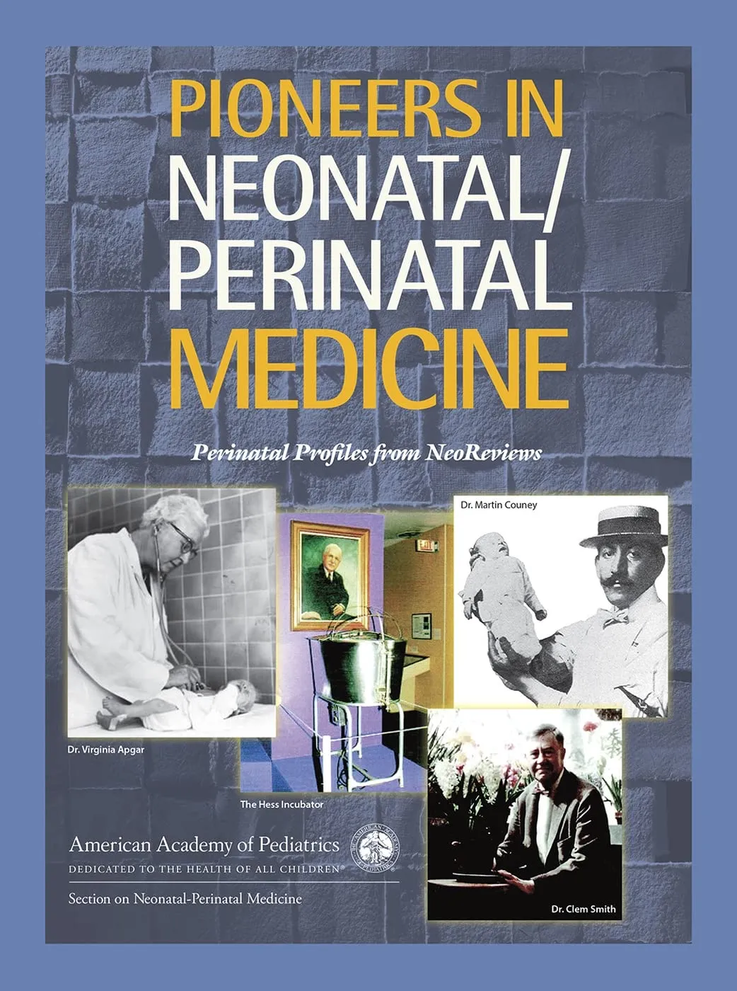 Pioneers in Neonatal/Perinatal Medicine | Paperback