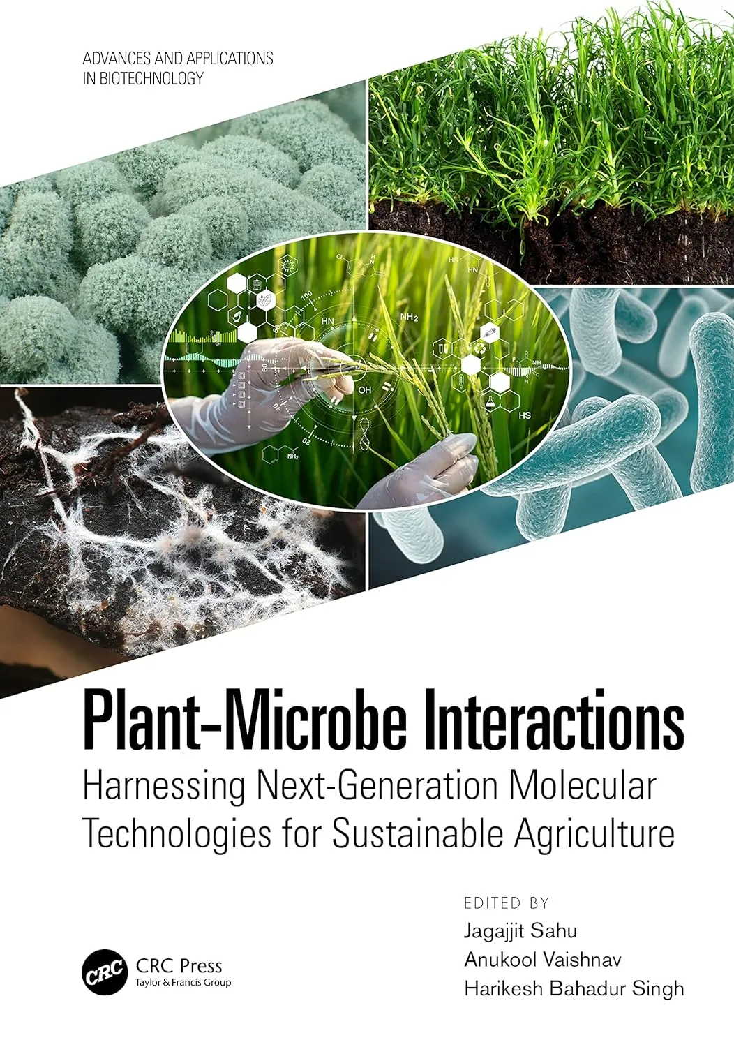 Plant Microbe Interactions Harnessing Next Generation Molecular Technologies For Sustainable Agriculture | Hardcover