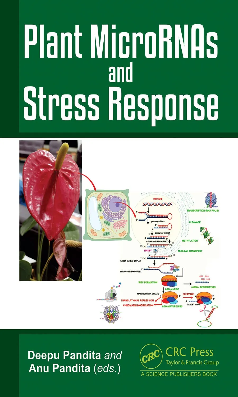 Plant Micrornas And Stress Response | Hardcover