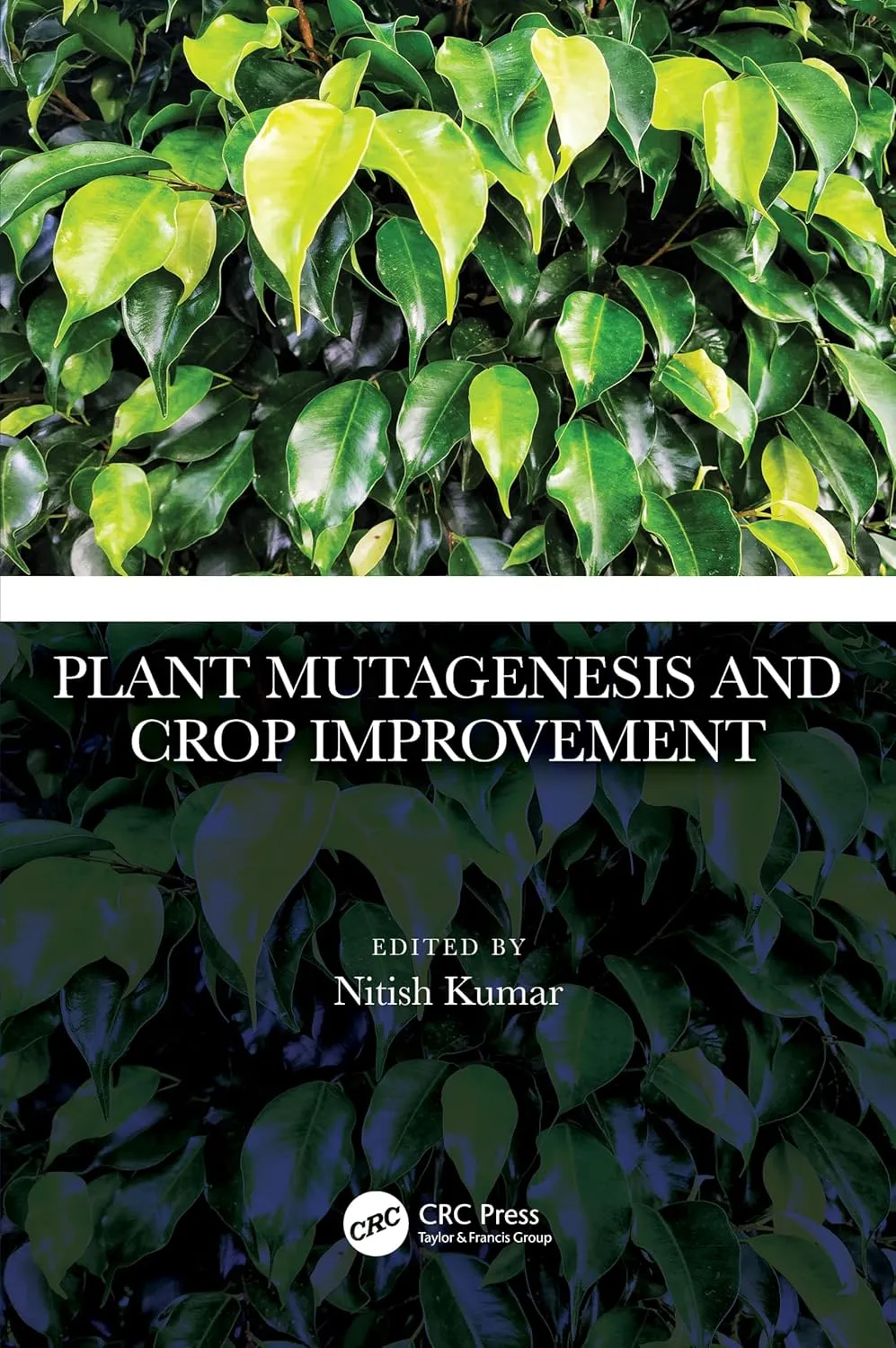 Plant Mutagenesis And Crop Improvement | Hardcover