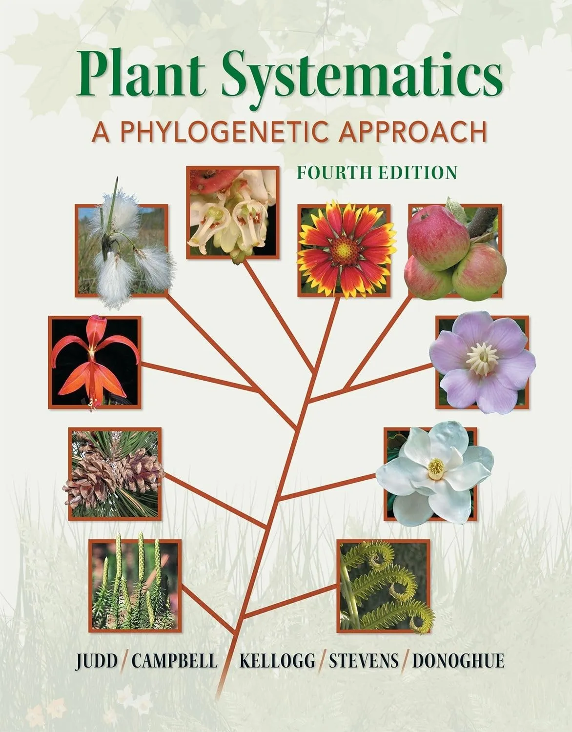 Plant Systematics A Phylogenetic Approach | 4th Edition | Hardcover