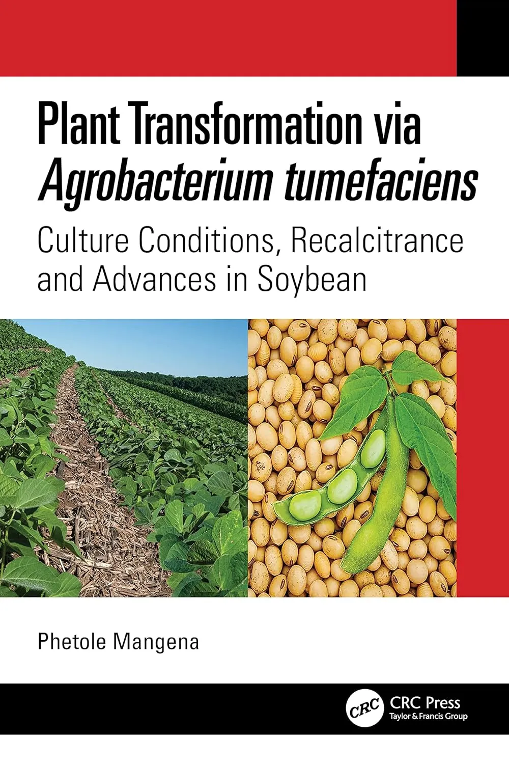 Plant Transformation Via Agrobacterium Tumefaciens Culture Conditions Recalcitrance And Advances In Soybean | Paperback