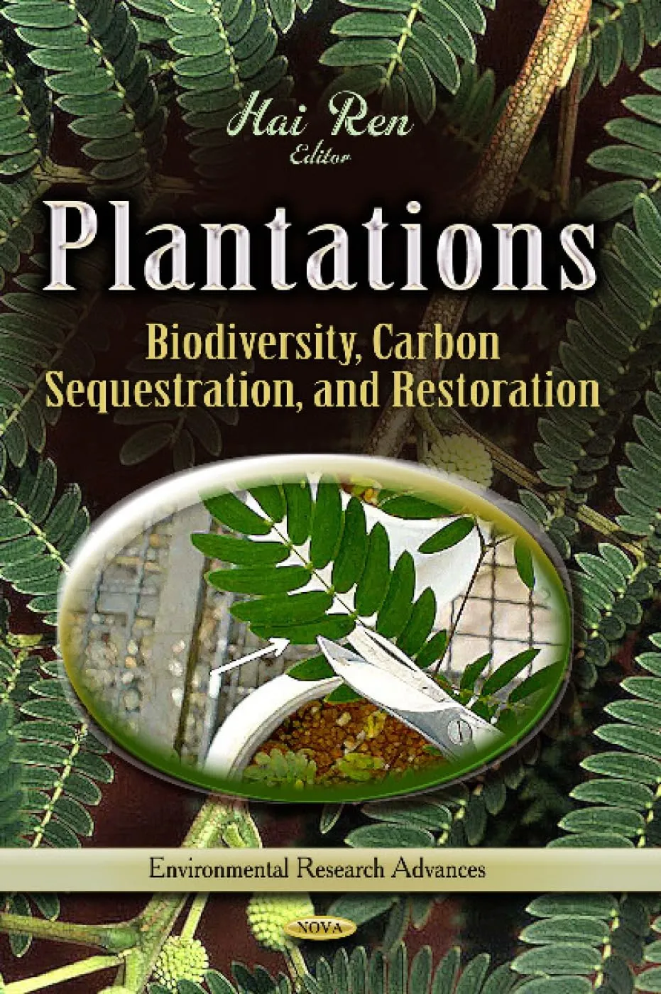 Plantations Biodiversity | Carbon Sequestration | and Restoration | Hardcover