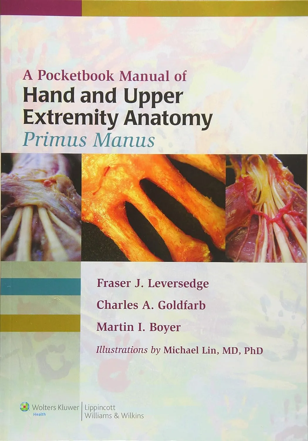 A Pocketbook Manual of Hand and Upper Extremity Anatomy Primus Manus | Paperback