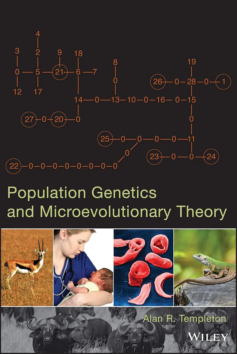 Population Genetics and Microevolutionary Theory | Hardcover