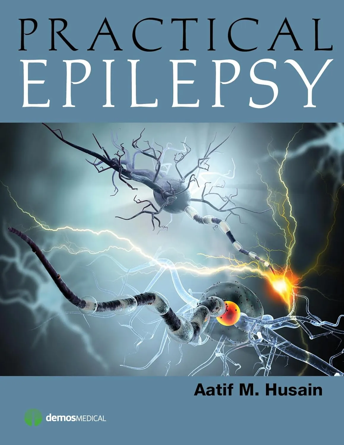 Practical Epilepsy | Paperback