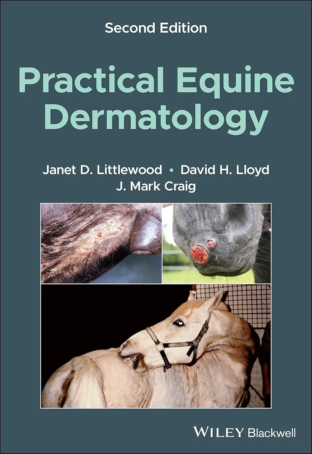 Practical Equine Dermatology 2nd Edition | Paperback