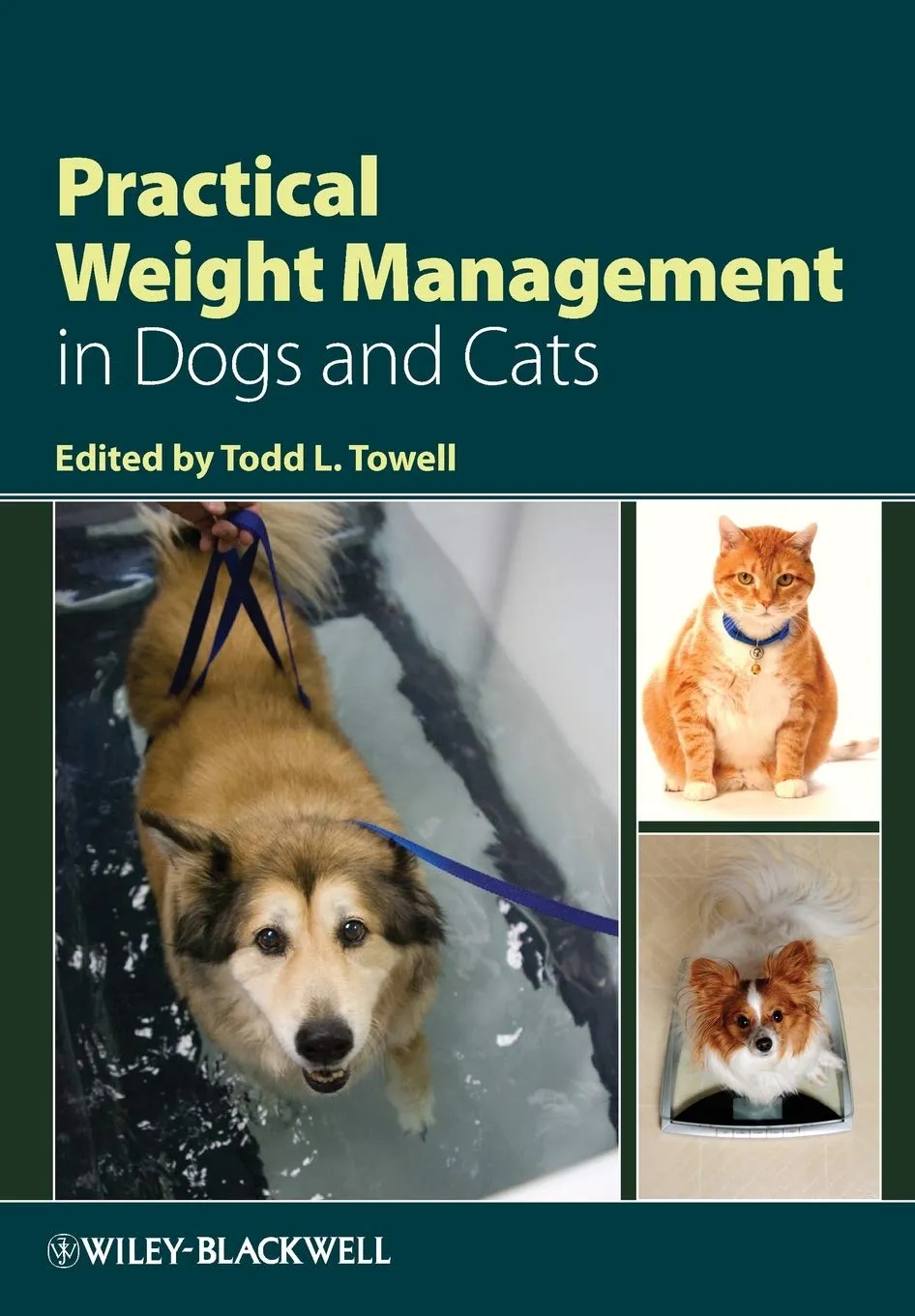Practical Weight Management in Dogs and Cats | Paperback