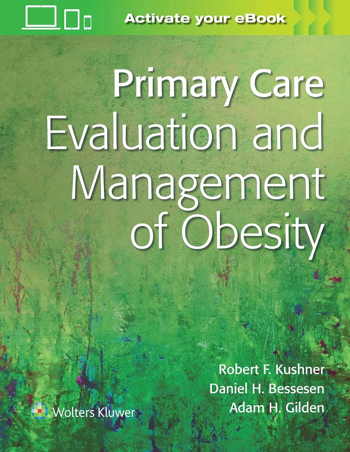 Primary Care Evaluation And Management of Obesity | Paperback