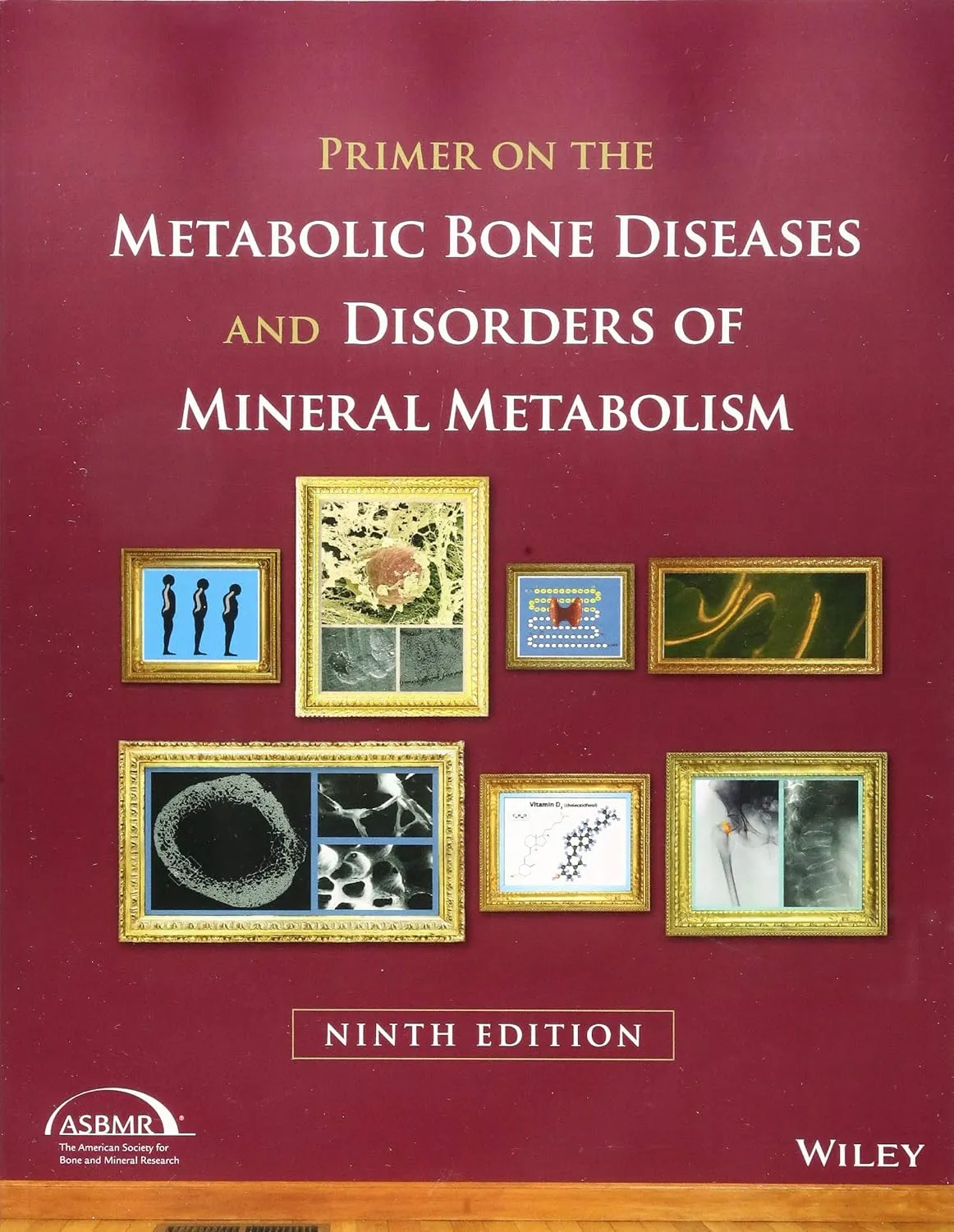 Primer On The Metabolic Bone Diseases And Disorders Of Mineral Metabolism 9e | Paperback