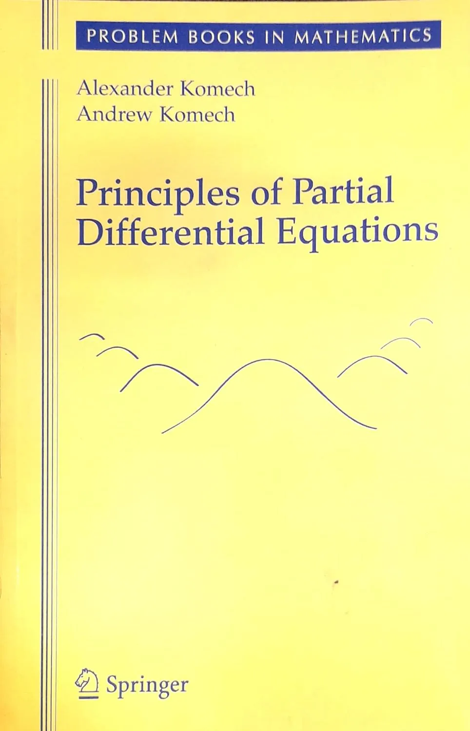 Principles of Partial Differential Equations