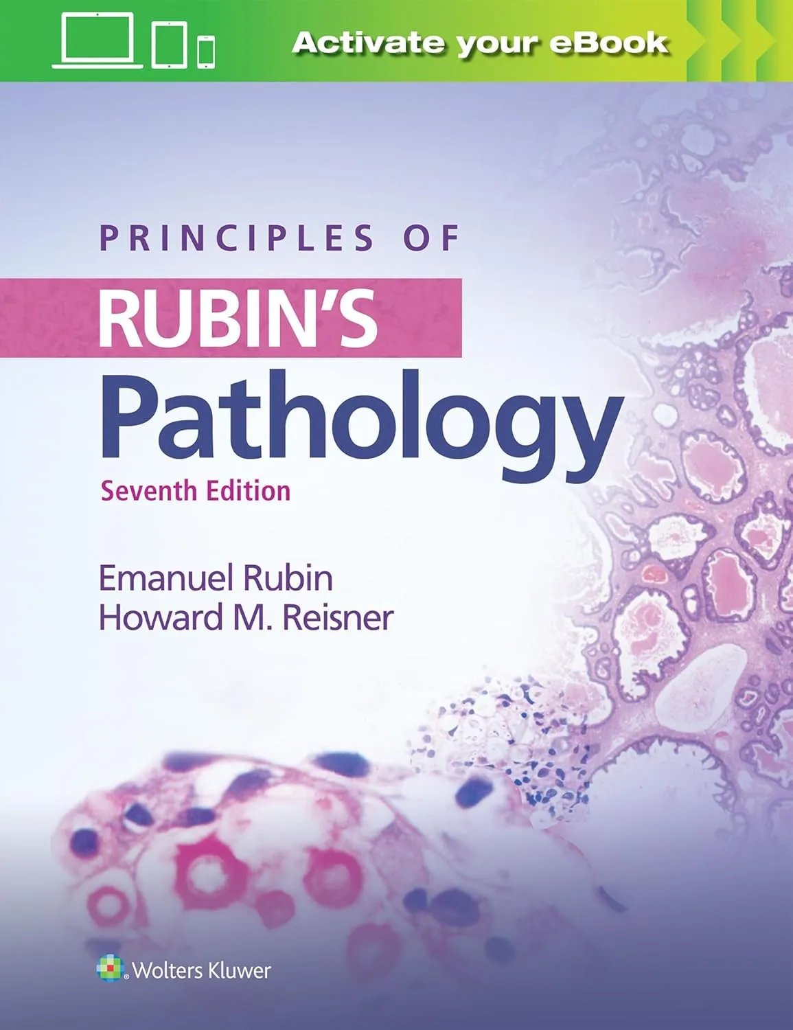 Principles of Rubin's Pathology | 7th Edition | Paperback