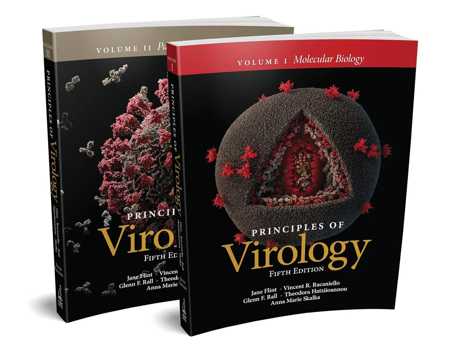 Principles Of Virology Multi Volume 2 Vol Set 5th Edition | Paperback