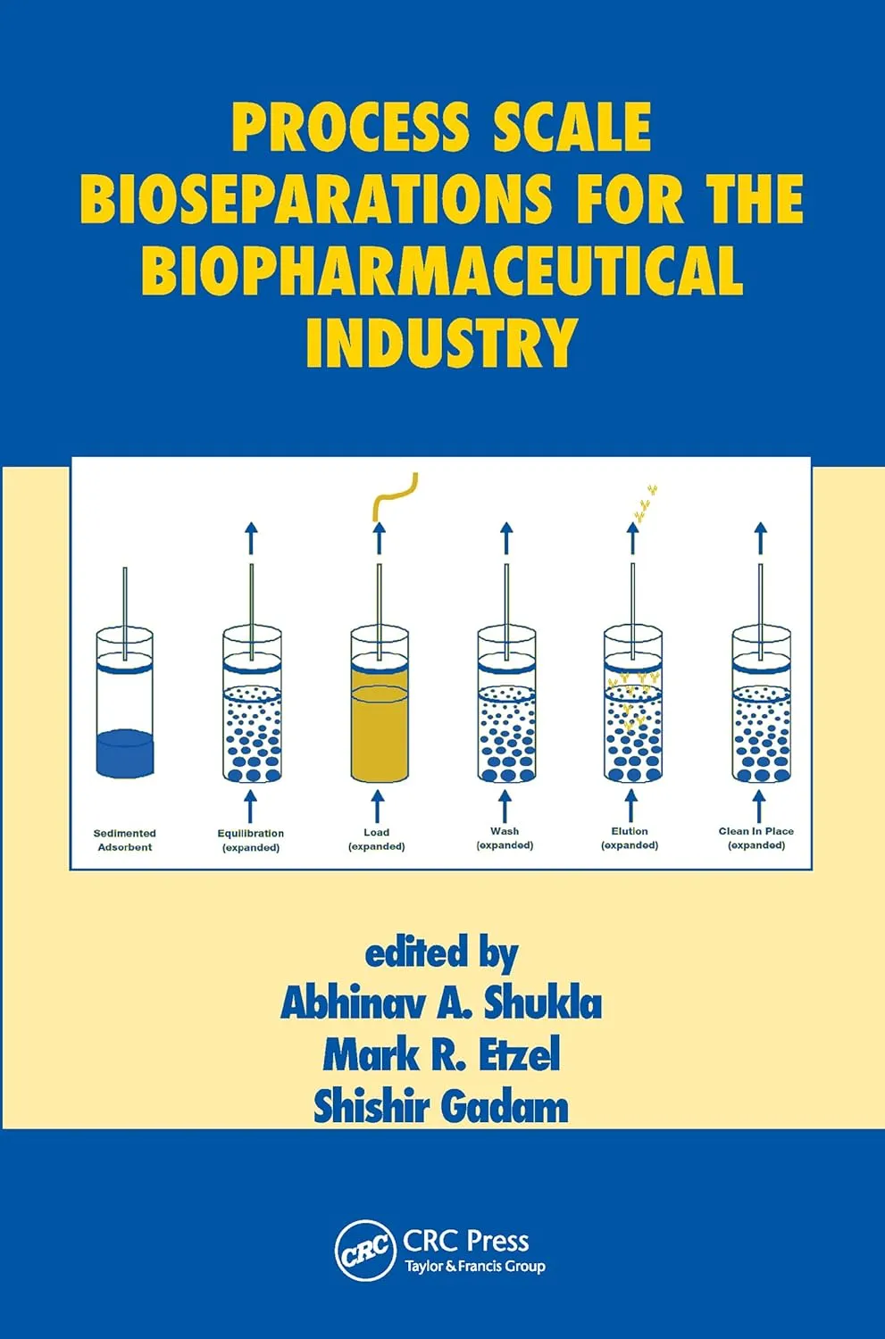 Process Scale Bioseparations For The Biopharmaceutical Industry | Paperback
