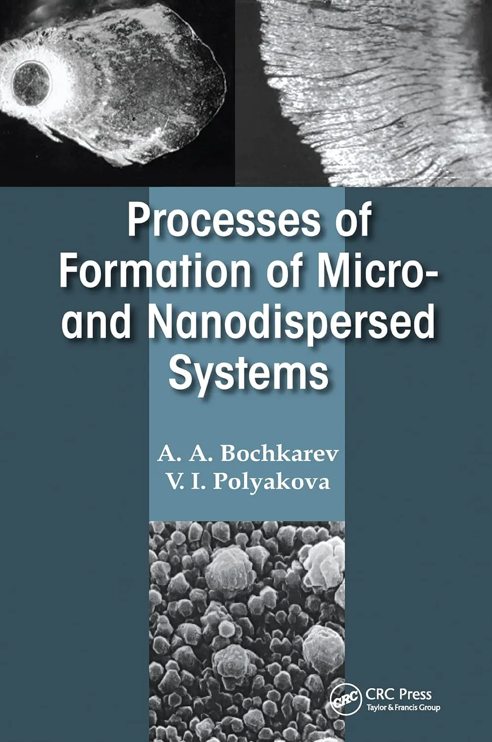 Processes of Formation of Micro- and Nanodispersed Systems | Hardcover