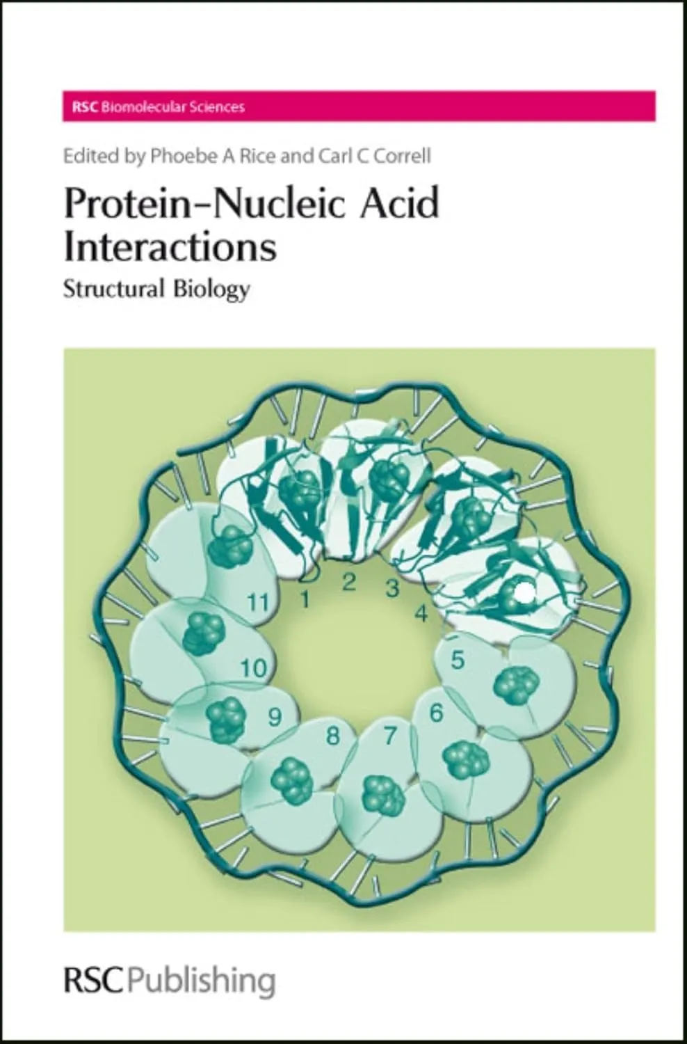 Protein- Nucleic Acid Interactions Structural Biology | Hardcover