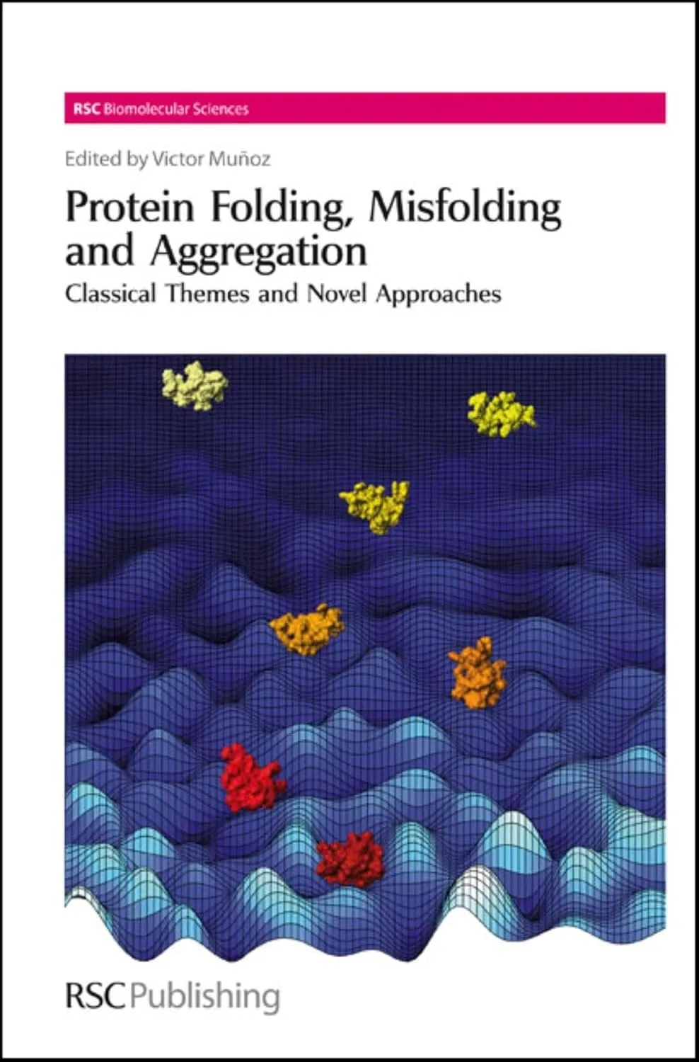 Protein Folding | Misfolding and Aggregation Classical Themes and Novel Approaches | Hardcover