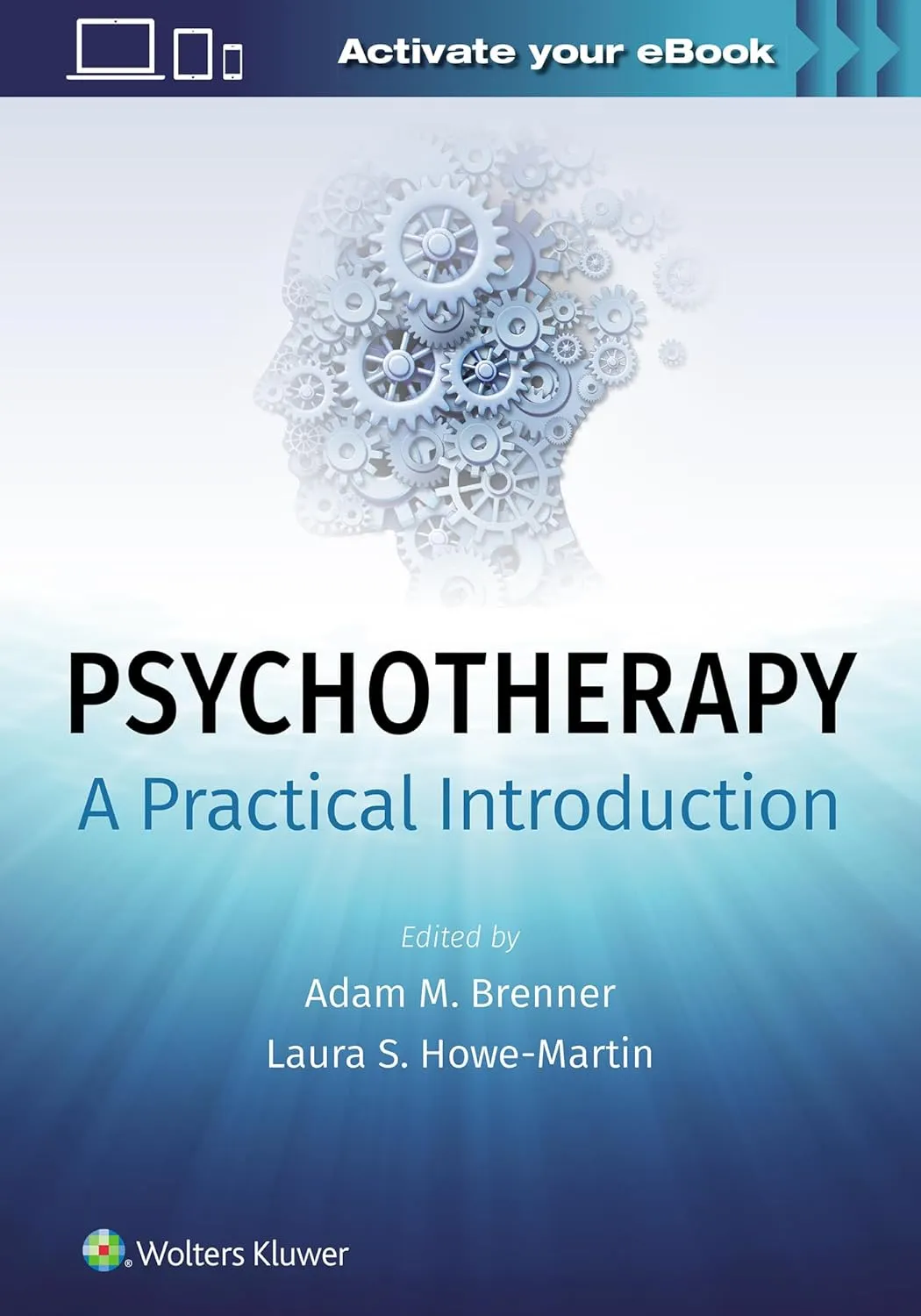 Psychotherapy A Practical Introduction With Access Code | Paperback
