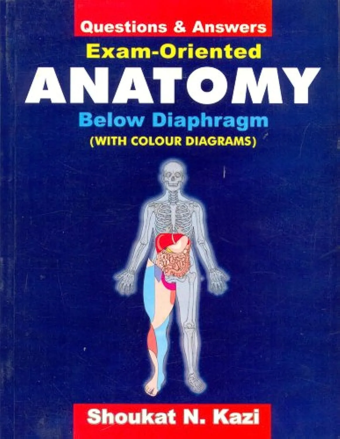 Questions and Answers Exam Oriented Anatomy Below Diaphragm(With Colour Diagrams)