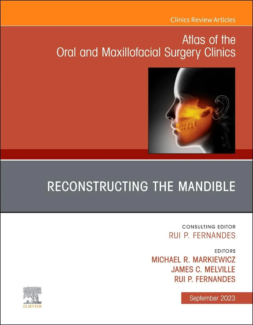 Reconstruction Of The Mandible An Issue Of Atlas Of The Oral And Maxillofacial Surgery Clinics | Hardcover