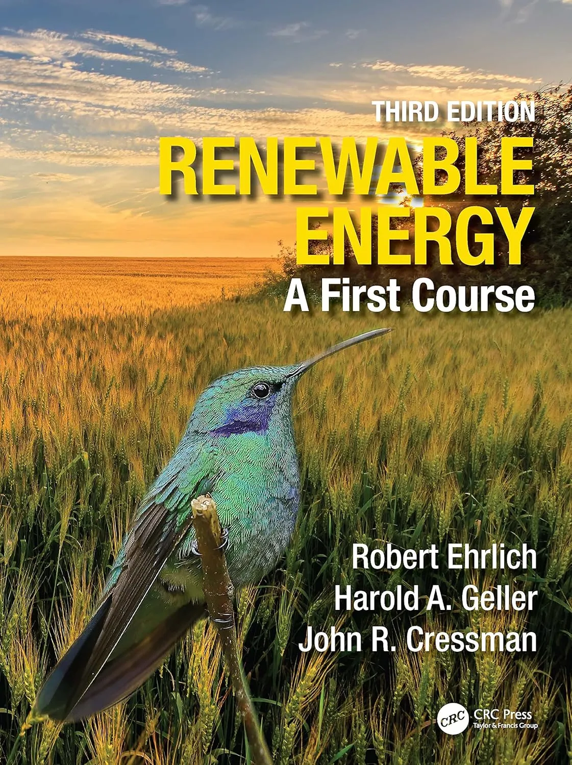 Renewable Energy A First Course Third Edition | Paperback