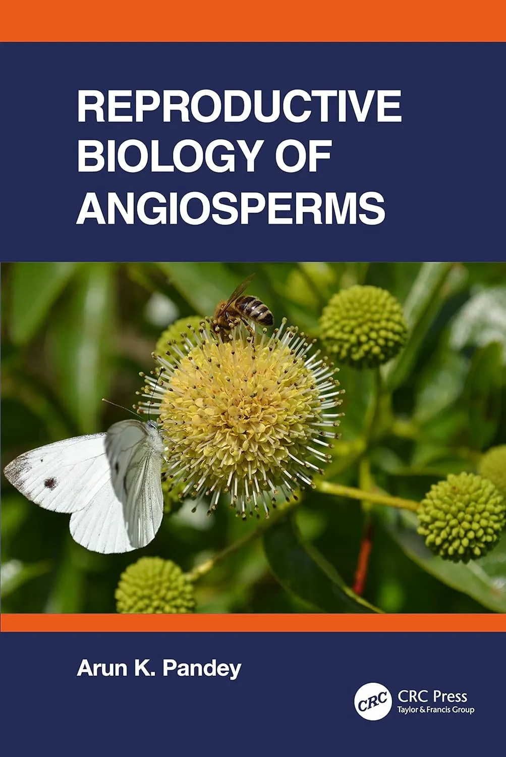 Reproductive Biology Of Angiosperms | Hardcover