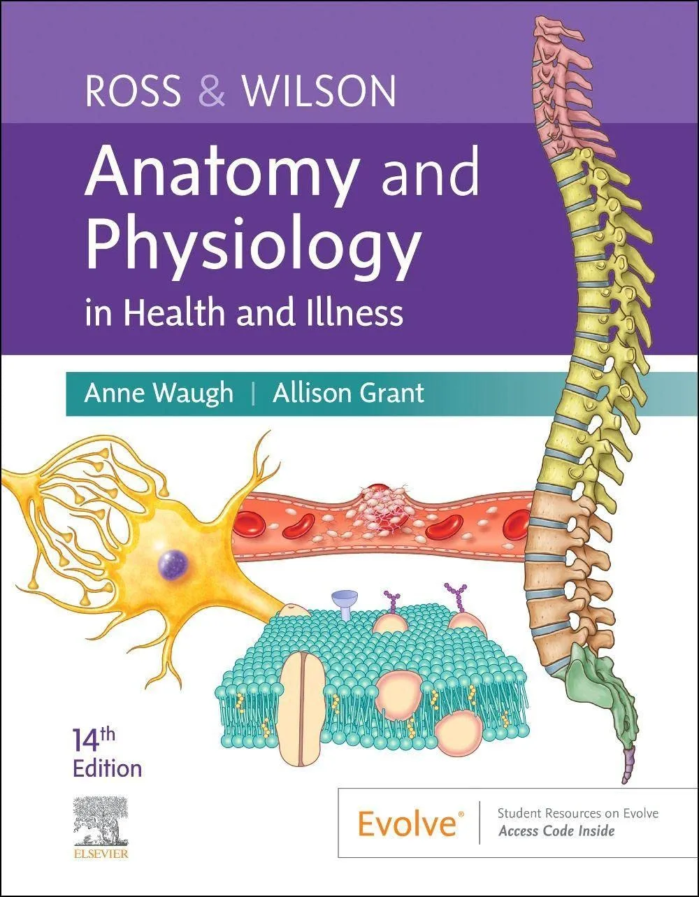 Ross And Wilson Anatomy And Physiology In Health And Illness With Access Code 14th Edition | Paperback