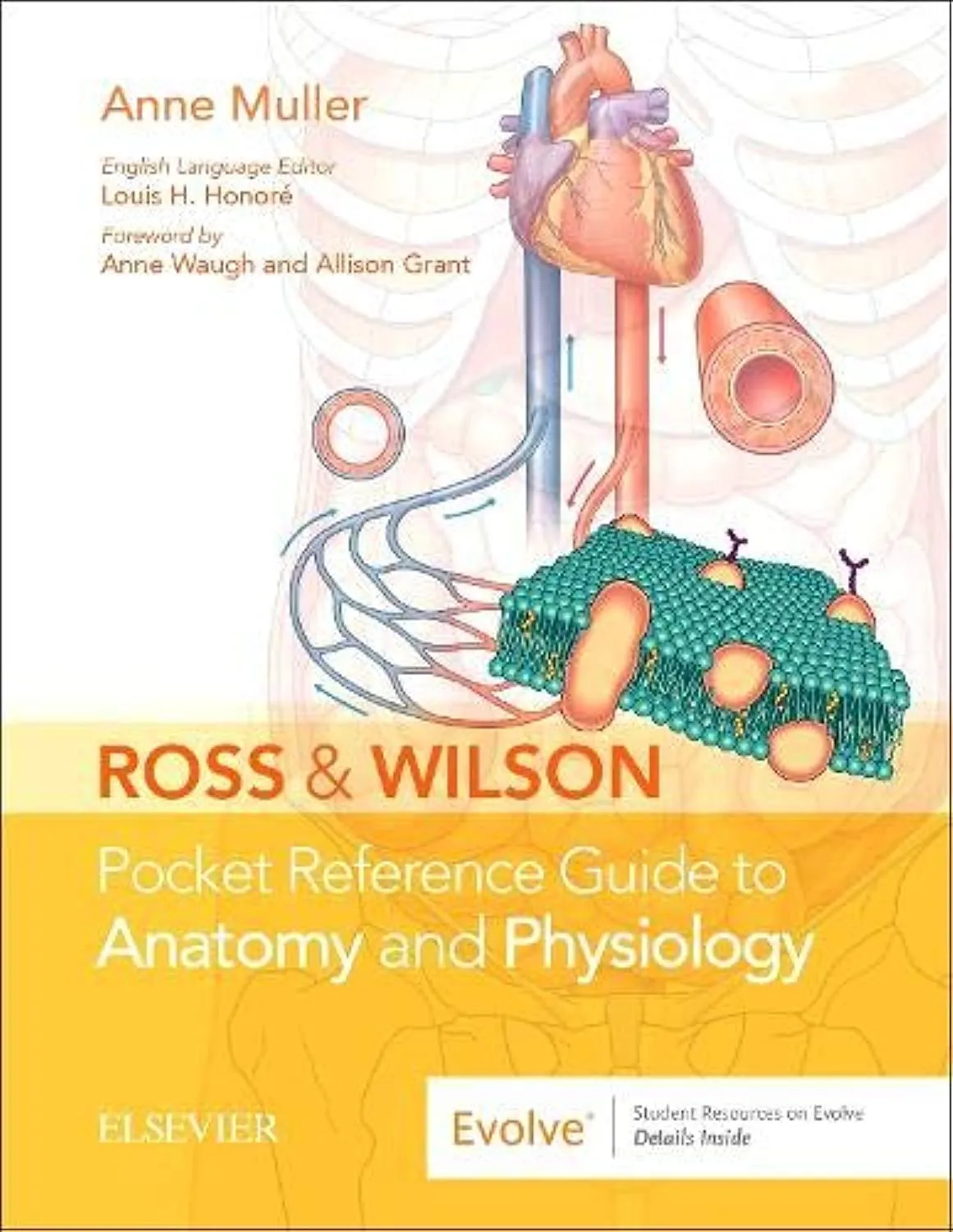 Ross And Wilson Pocket Reference Guide To Anatomy And Physiology With Access Code (Sb 2019)