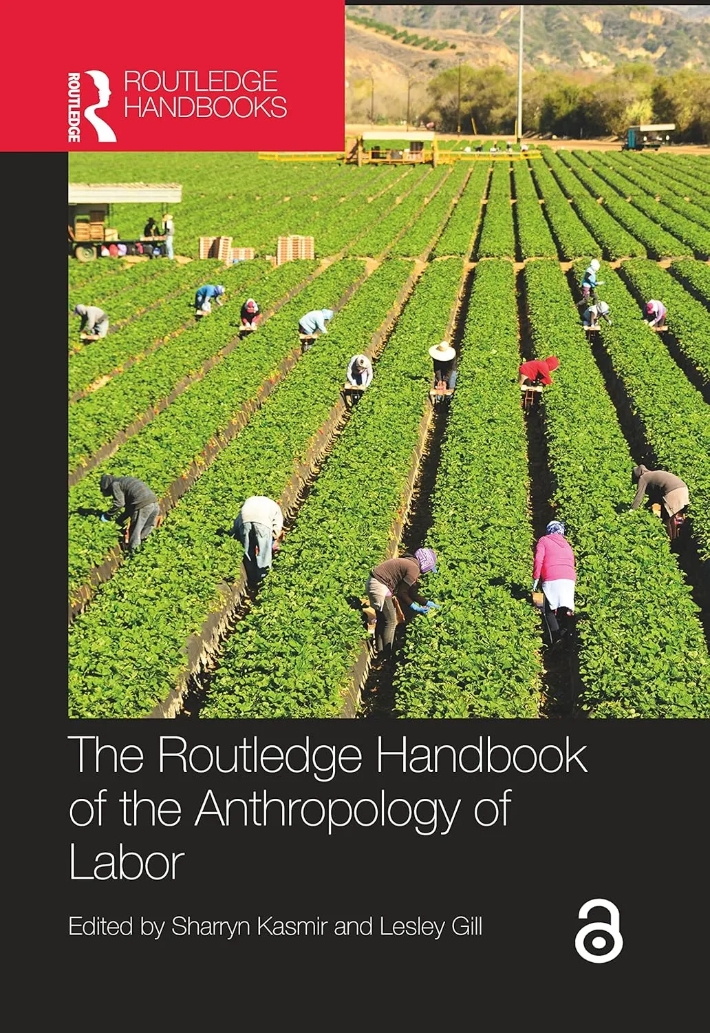 The Routledge Handbook Of The Anthropology Of Labor | Hardcover