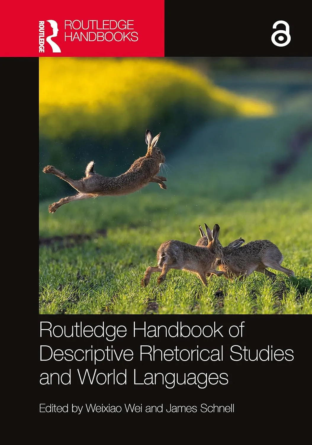 Routledge Handbook Of Descriptive Rhetorical Studies And World Languages | Hardcover