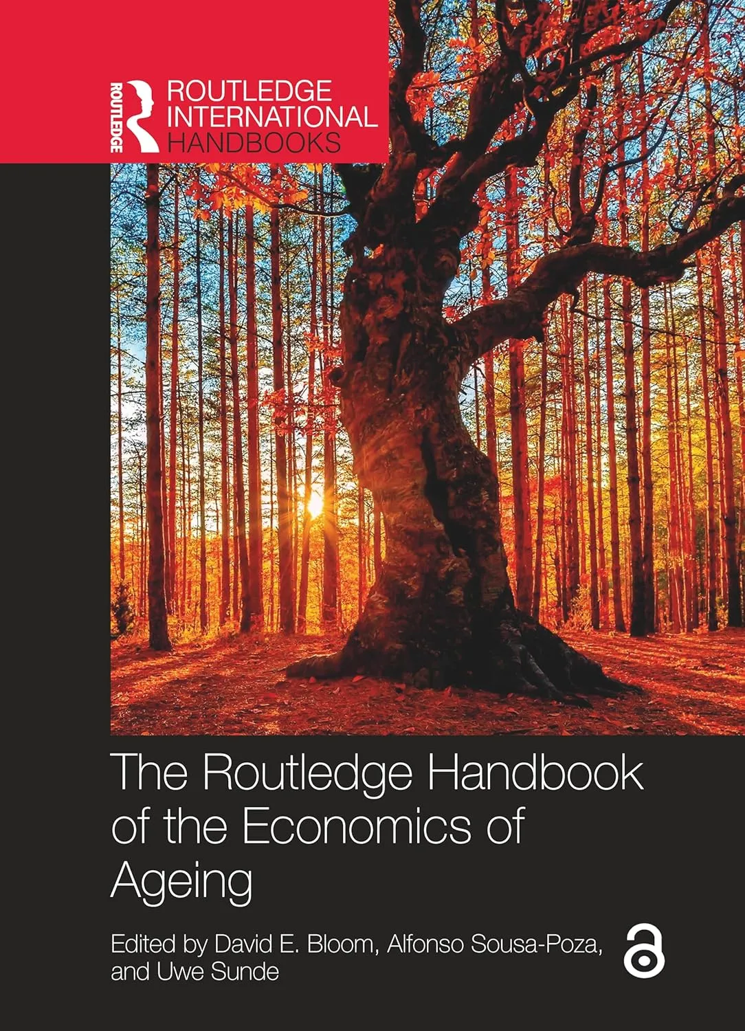 The Routledge Handbook Of The Economics Of Ageing | Hardcover